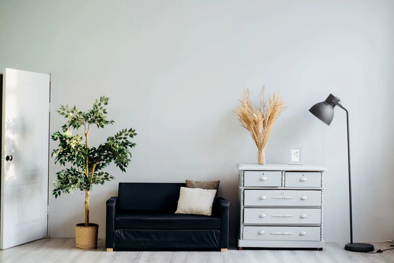 Salon lumineux aménagé avec un canapé noir, une commode blanche et une plante verte
