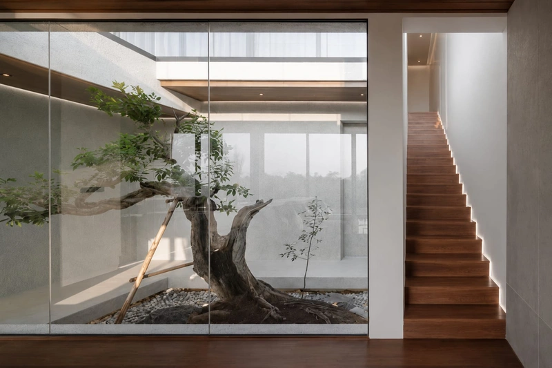Patio intérieur vitré avec arbre central et escalier en bois éclairé